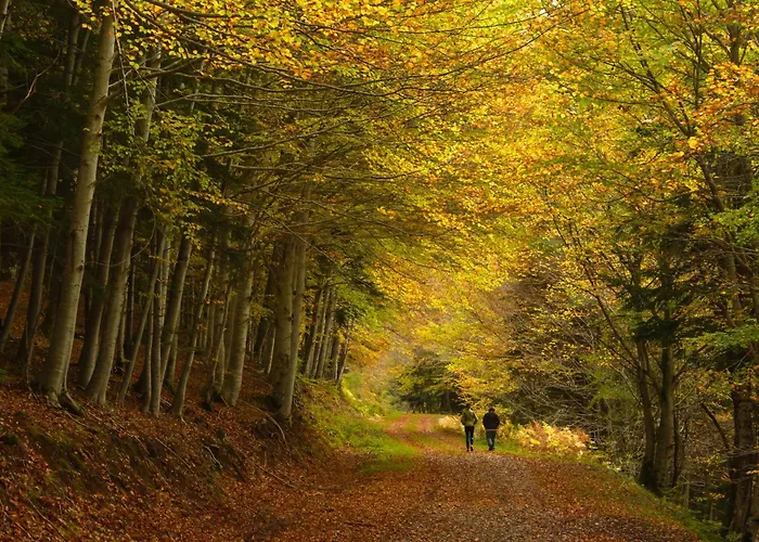 Ripereta By Bevalle *