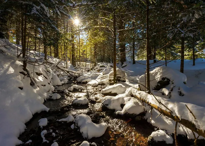 Ripereta By Bevalle *